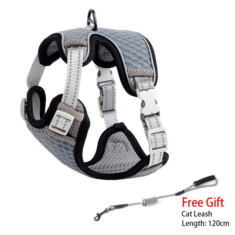 Feline & Canine Fashion: The Ultimate "Messy Walk" Harness for Pups and Paws!