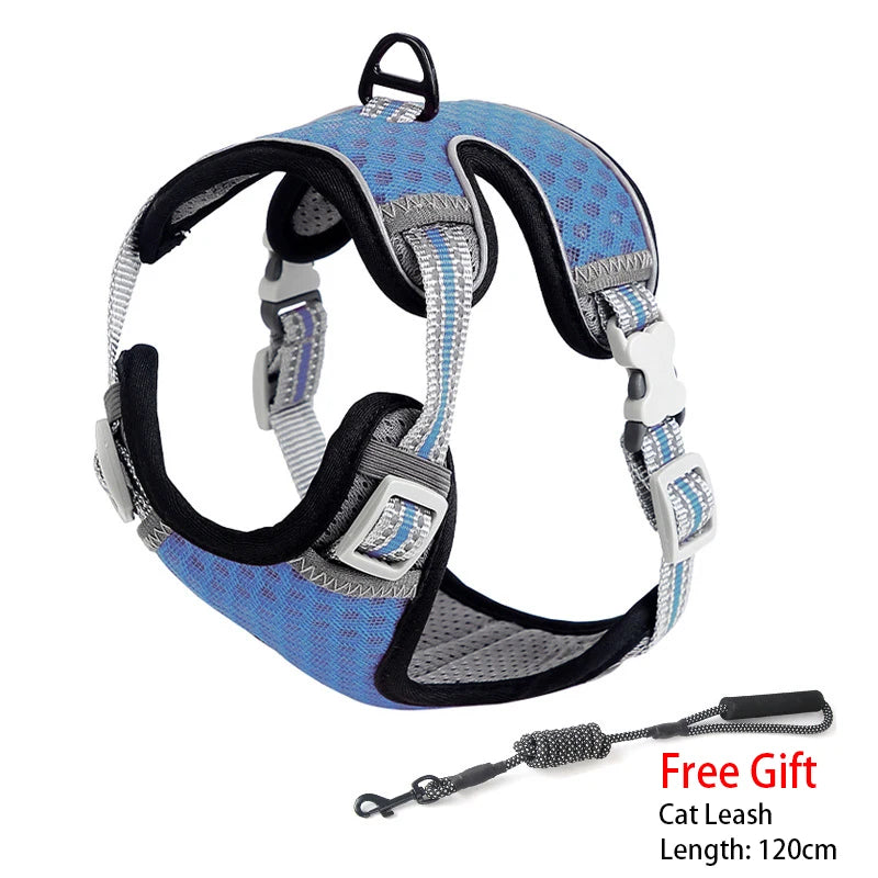 Feline & Canine Fashion: The Ultimate "Messy Walk" Harness for Pups and Paws!