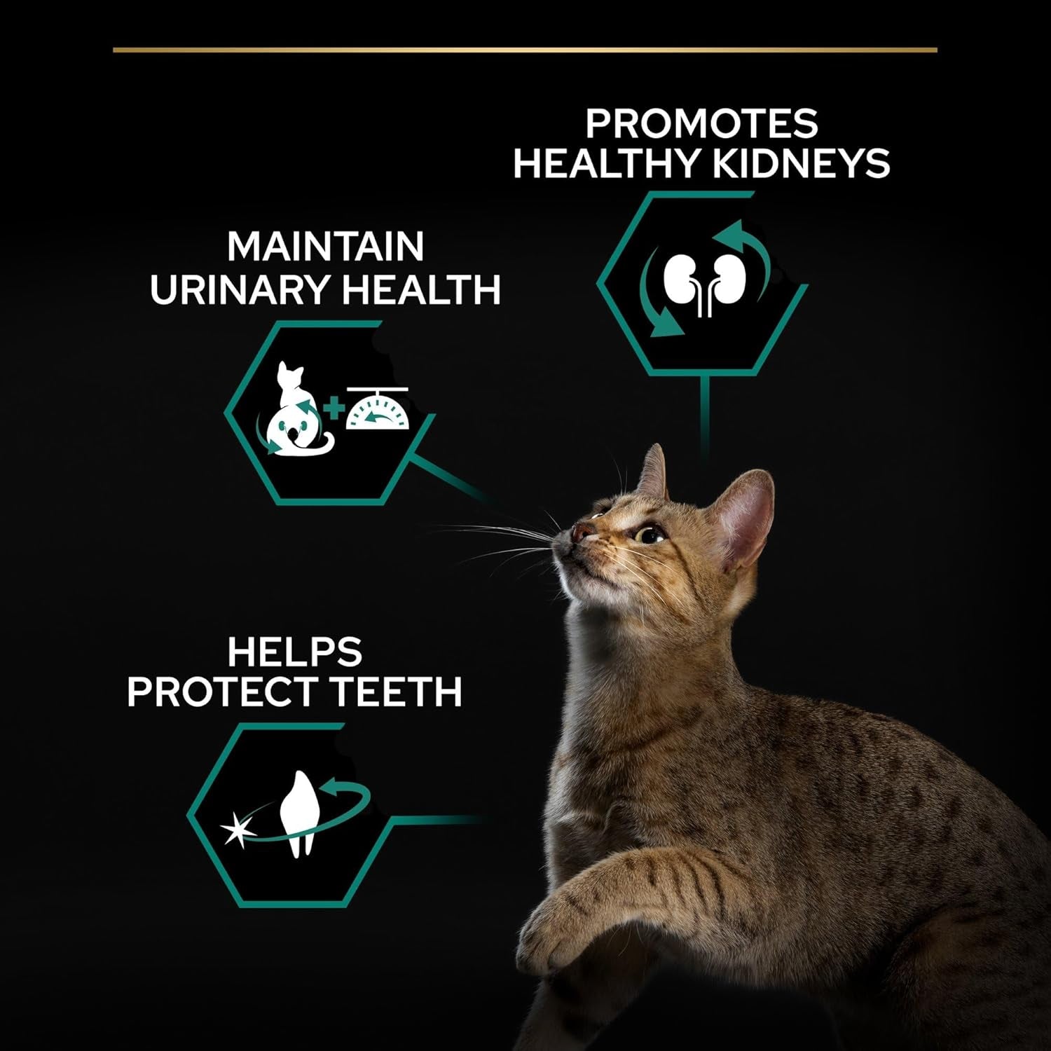 Purina Pro Plan Sterilised Renal plus Crocchette Gatti Adulti Ricco in Tacchino 3Kg