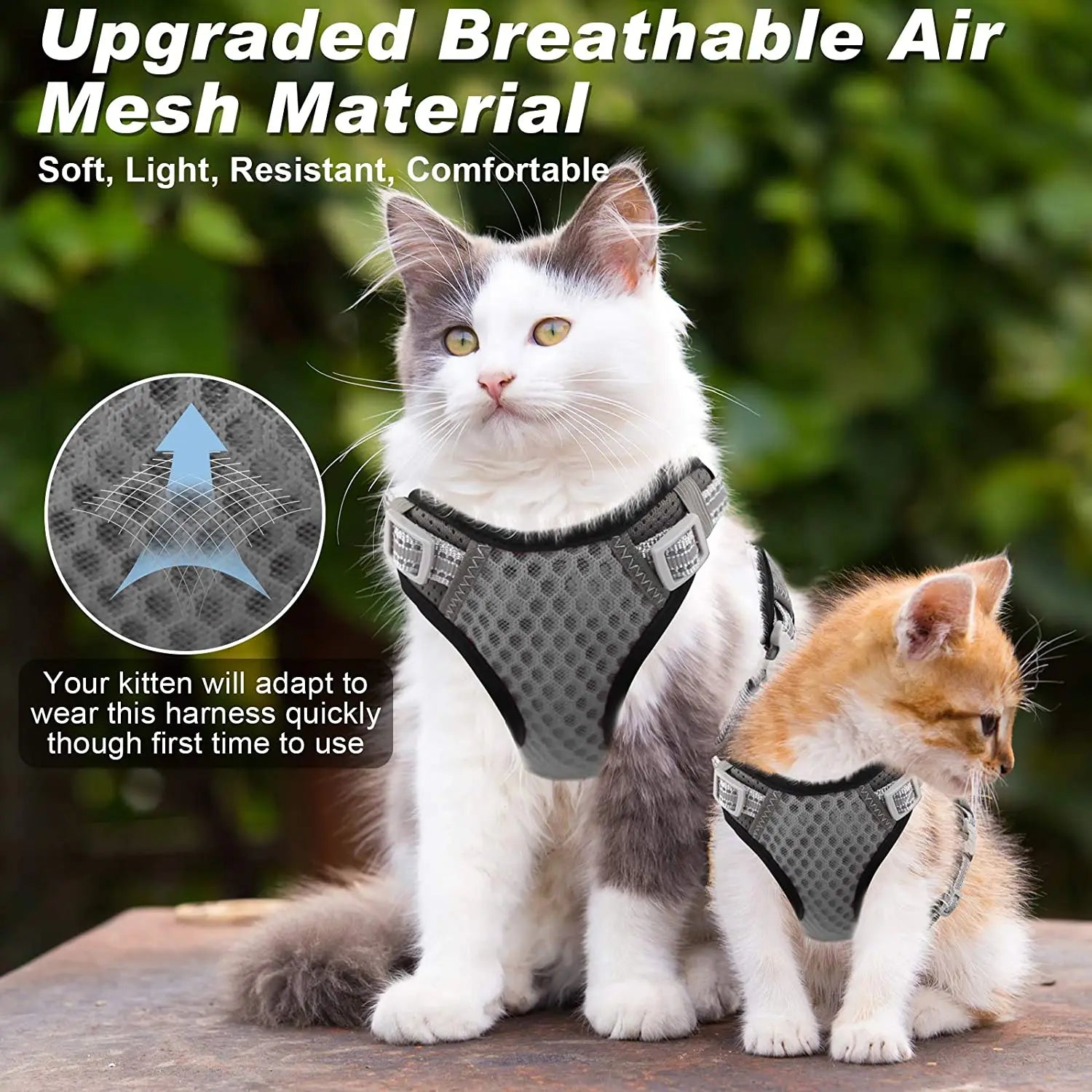 Feline & Canine Fashion: The Ultimate "Messy Walk" Harness for Pups and Paws!