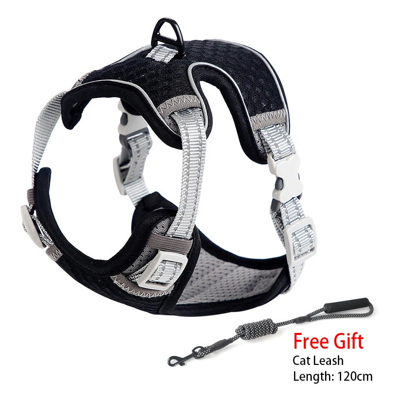 Feline & Canine Fashion: The Ultimate "Messy Walk" Harness for Pups and Paws!