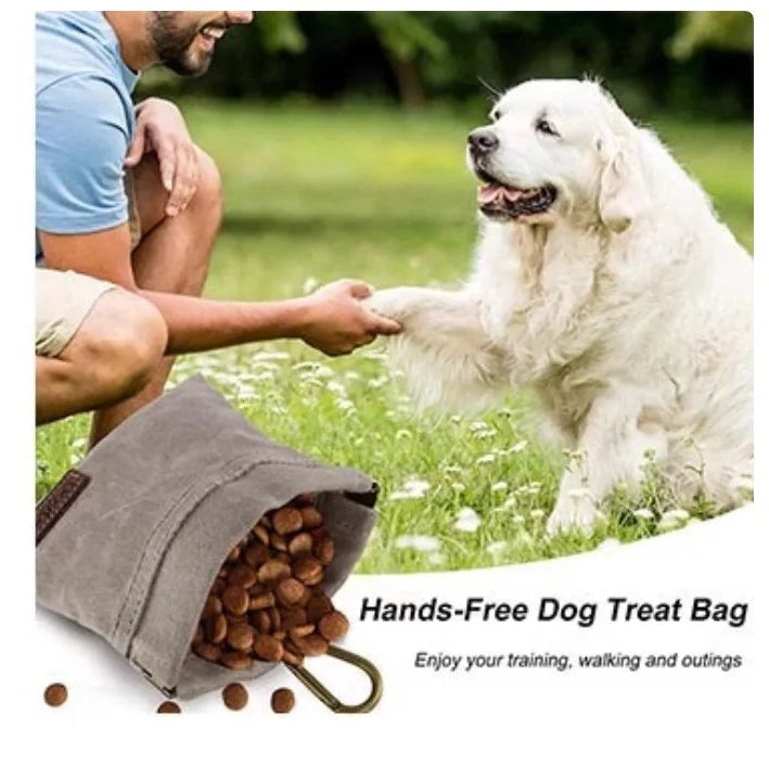 Portable Pet Treat Bag - Durable Canvas Pouch with Carabiner for Dogs & Cats