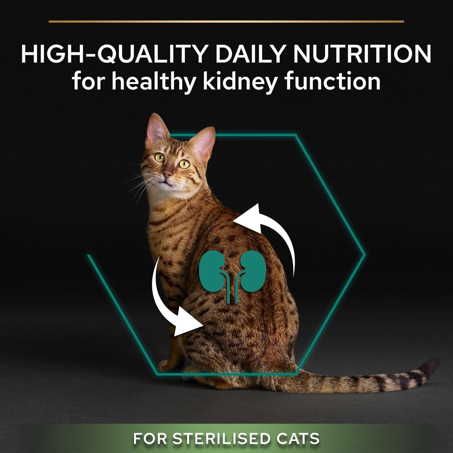 Purina Pro Plan Sterilised Renal plus Crocchette Gatti Adulti Ricco in Tacchino 3Kg