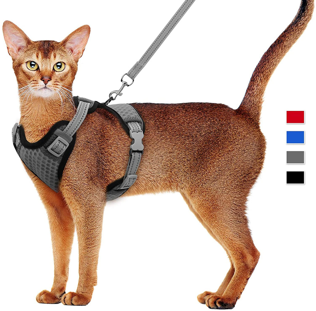 Feline & Canine Fashion: The Ultimate "Messy Walk" Harness for Pups and Paws!