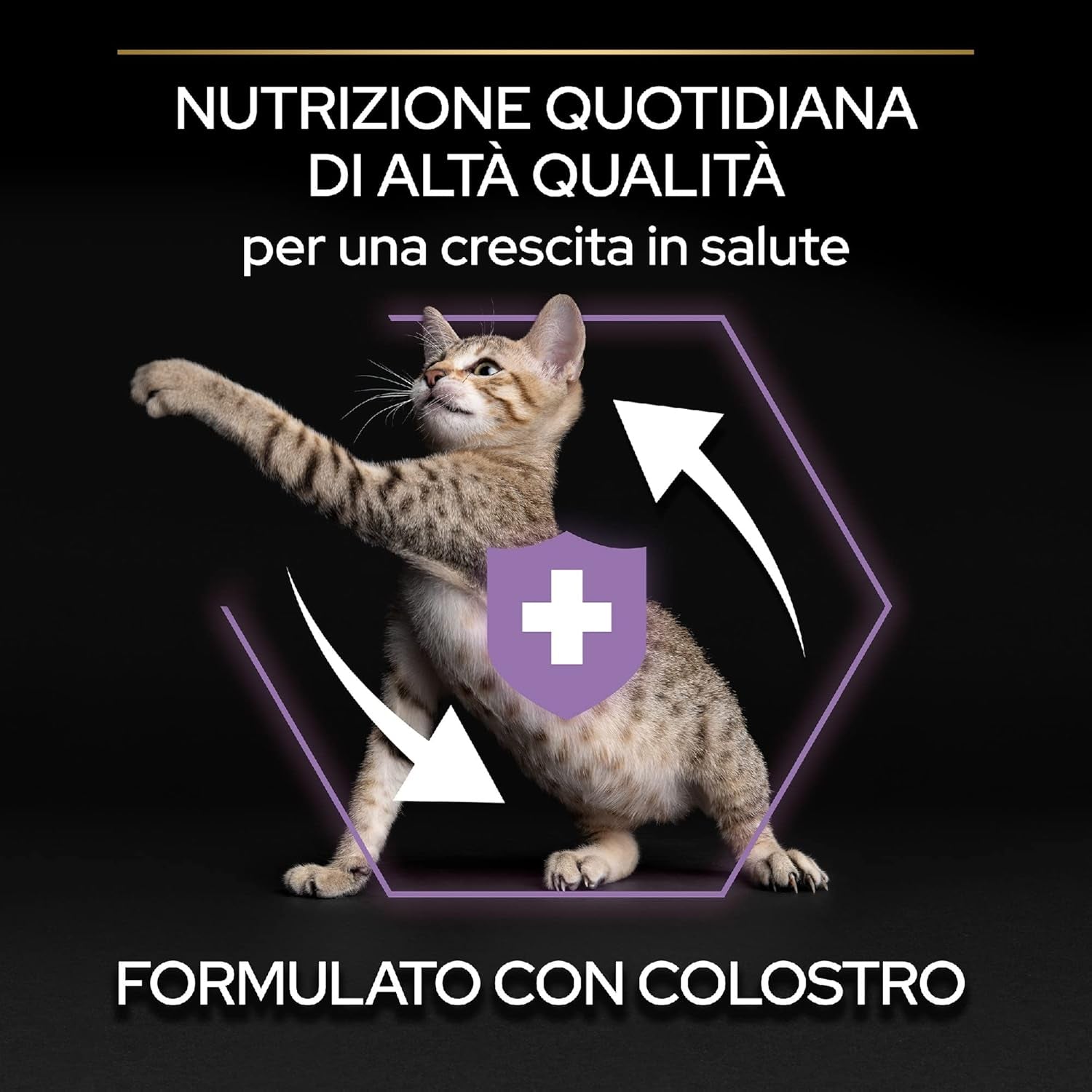 PURINA PRO PLAN Healthy Start Crocchette per Gatti Cuccioli Con Pollo Sacco Da 1.5Kg