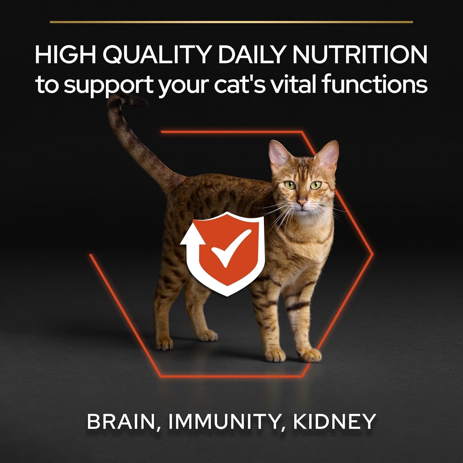 Purina Pro Plan Vital Function Crocchette Gatti Adulti Ricco in Salmone 10Kg
