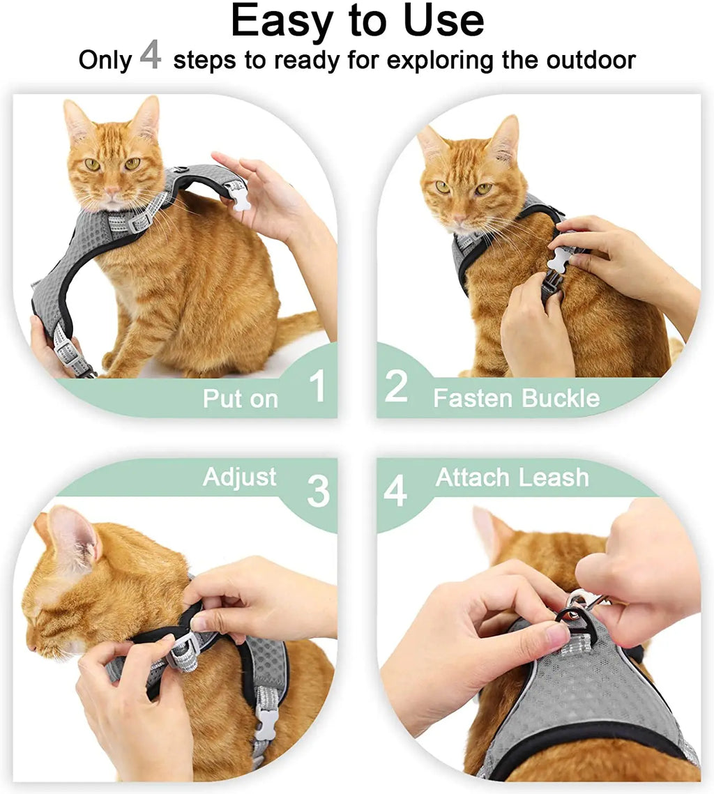 Feline & Canine Fashion: The Ultimate "Messy Walk" Harness for Pups and Paws!