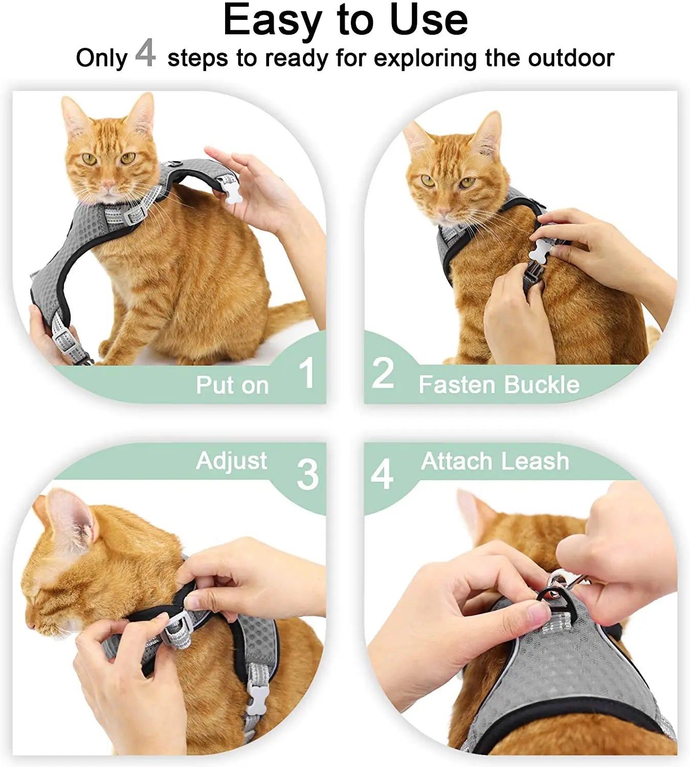 Feline & Canine Fashion: The Ultimate "Messy Walk" Harness for Pups and Paws!