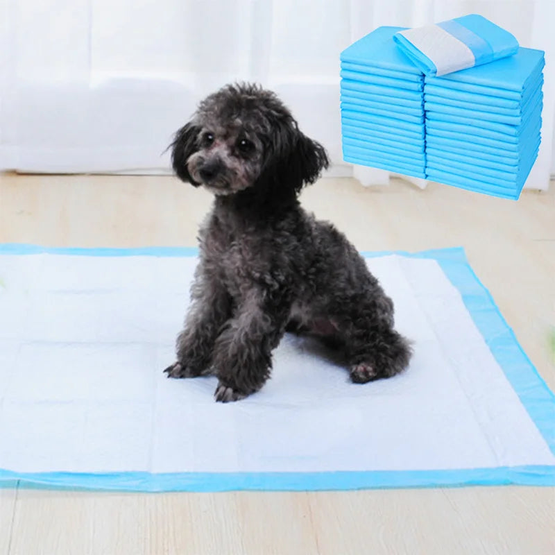 10Pcs Super Absorbent Dog Cat Disposable Diaper Thick Deodorant Puppy Pet Urine Diaper Pad Mat Cat Litter Toilet Dogs Products