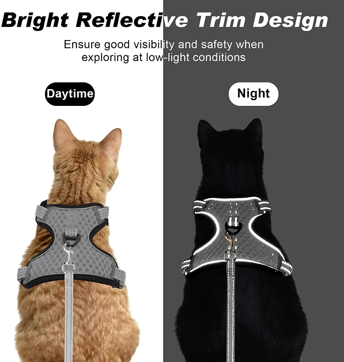 Feline & Canine Fashion: The Ultimate "Messy Walk" Harness for Pups and Paws!