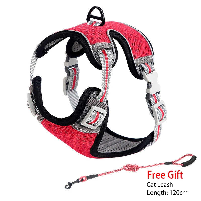 Feline & Canine Fashion: The Ultimate "Messy Walk" Harness for Pups and Paws!